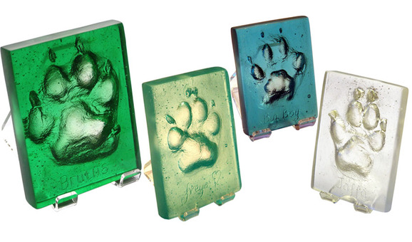 dog & cat pawprint glass plaques